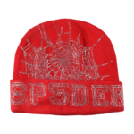 Sp5der Web Beanie - Image 16
