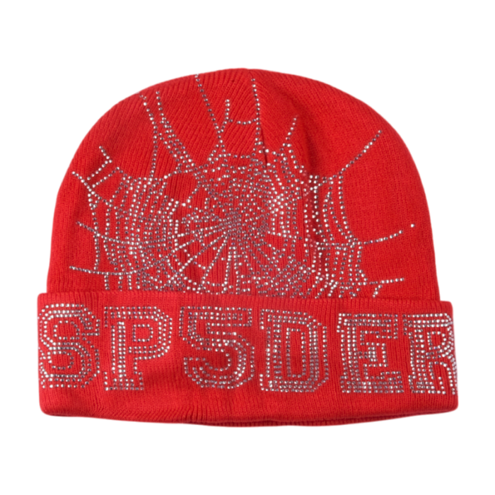 Sp5der Web Beanie - Image 16