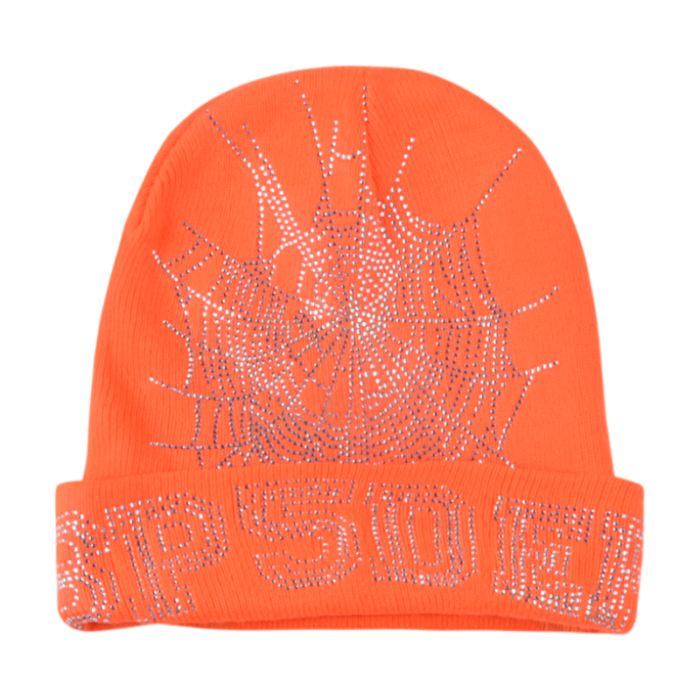 Sp5der Web Beanie - Image 18