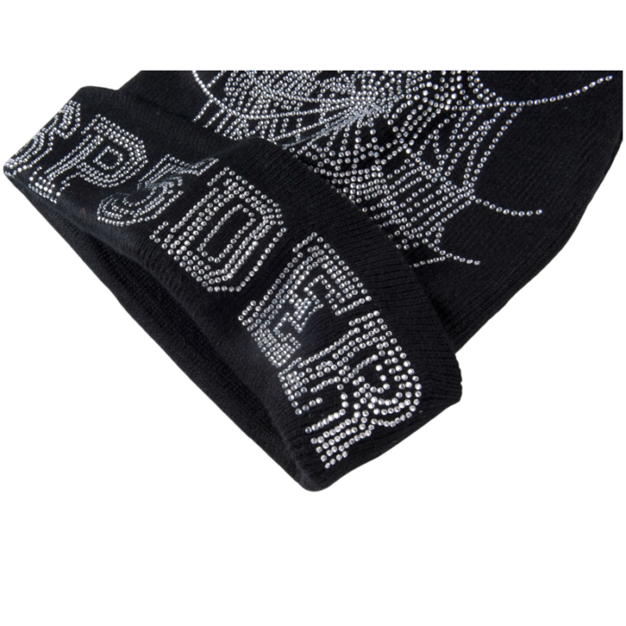 Sp5der Web Beanie - Image 9