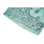 AMIRI BANDANA PRINT PREMIUM SHORT - Image 4