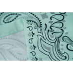 AMIRI BANDANA PRINT PREMIUM SHORT - Image 8