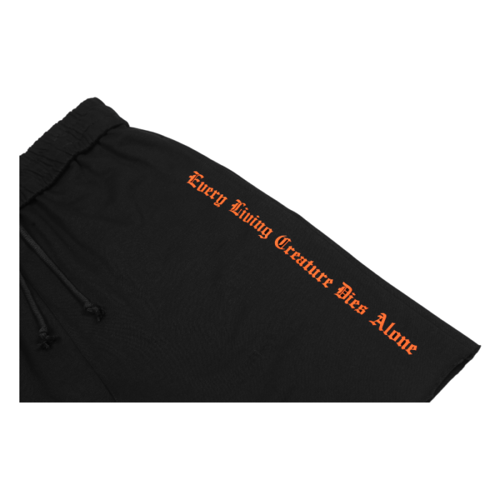 Vlone Every living Creature Dies Alone Shorts - Image 21